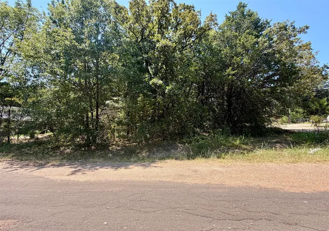 Photo 4 of Sale Pending at Lot 144 Chisolm Trl, Mabank, TX 75156 | MLS# 21354578 | Listing updated on 2026-10-02