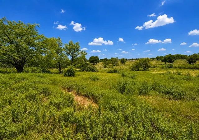 Photo 3 of Land for sale at 14197 County Road 4054, Kemp, TX 75143 | MLS# 21354710 | Listing updated on 2026-08-08