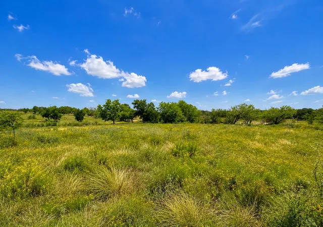 Photo 3 of Land for sale at 14197 County Road 4054, Kemp, TX 75143 | MLS# 21354710 | Listing updated on 2026-08-08
