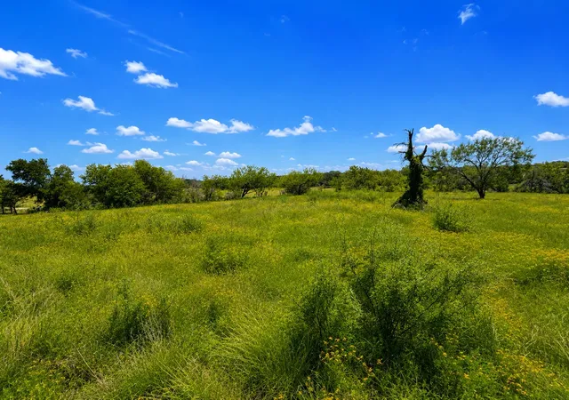 Photo 4 of Land for sale at 14197 County Road 4054, Kemp, TX 75143 | MLS# 21354710 | Listing updated on 2026-08-08