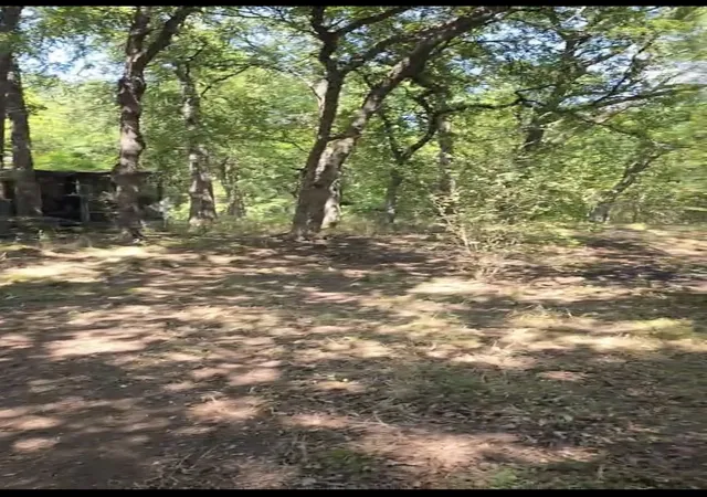 Photo 3 of Land for sale at 6316 Angel Dr, Burleson, TX 76028 | MLS# 21354881 | Listing updated on 2026-08-10
