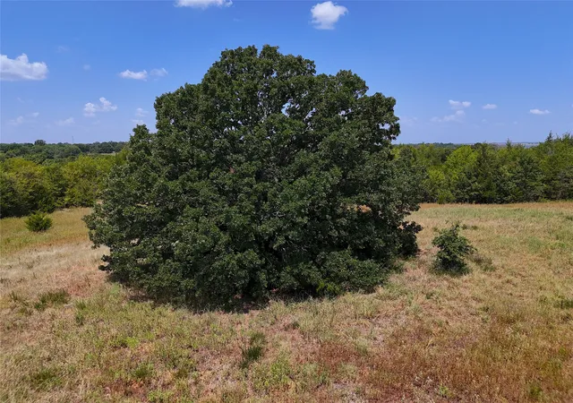 Photo 3 of Land for sale at 1600 Cr 2765, Honey Grove, TX 75446 | MLS# 21354938 | Listing updated on 2026-08-31