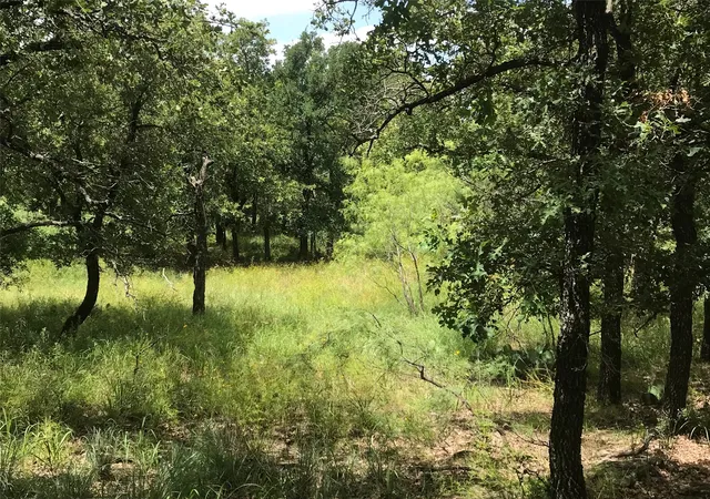 Photo 3 of Land for sale at Lot 253 Cote D Azur Dr, Chico, TX 76431 | MLS# 21354175 | Listing updated on 2026-08-27
