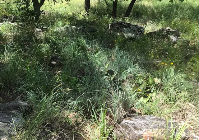 Photo 3 of Land for sale at Lot 253 Cote D Azur Dr, Chico, TX 76431 | MLS# 21354175 | Listing updated on 2026-08-27