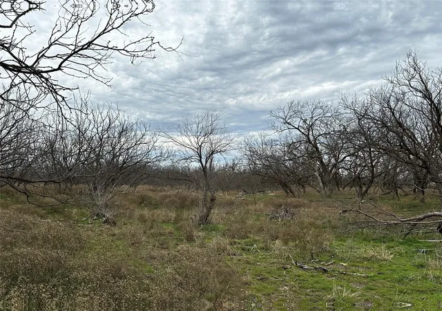 Photo 1 of Land for sale at Tract 13 Ac Cr 105, Abilene, TX 79601 | MLS# 21355142 | Listing updated on 2026-08-10