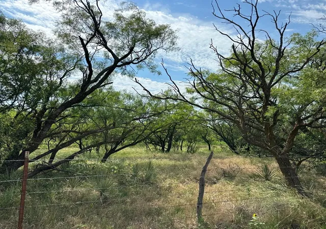 Photo 3 of Land for sale at Tract 13 Ac Cr 105, Abilene, TX 79601 | MLS# 21355142 | Listing updated on 2026-08-10
