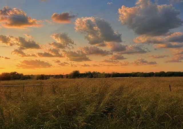 Photo 1 of Land for sale at Tbd Cr 3561, Sulphur Bluff, TX 75481 | MLS# 21355179 | Listing updated on 2026-08-10