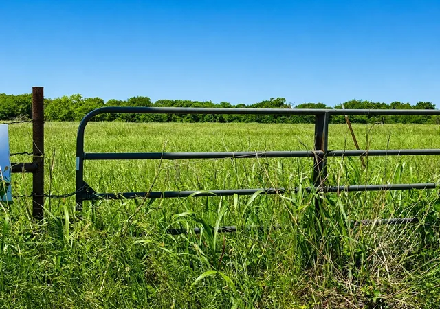 Photo 2 of Land for sale at Tbd Cr 3561, Sulphur Bluff, TX 75481 | MLS# 21355179 | Listing updated on 2026-08-10