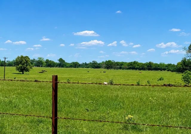Photo 3 of Land for sale at Tbd Cr 3561, Sulphur Bluff, TX 75481 | MLS# 21355179 | Listing updated on 2026-08-10