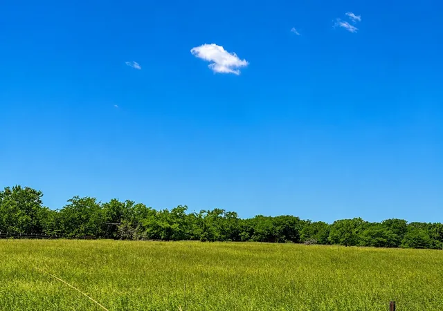 Photo 3 of Land for sale at Tbd Cr 3561, Sulphur Bluff, TX 75481 | MLS# 21355179 | Listing updated on 2026-08-10