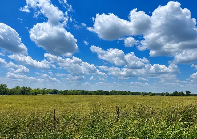 Photo 4 of Land for sale at Tbd Cr 3561, Sulphur Bluff, TX 75481 | MLS# 21355179 | Listing updated on 2026-08-10