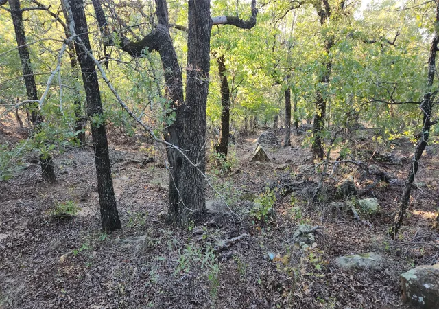 Photo 2 of Land for sale at 411 Mountain View Ct, Sunset, TX 76270 | MLS# 21353659 | Listing updated on 2026-09-17