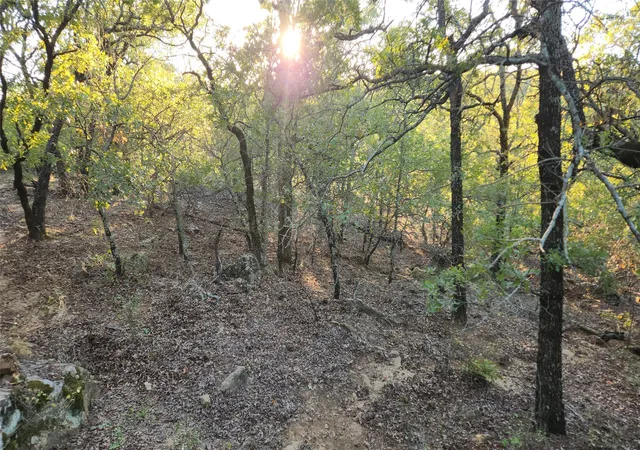 Photo 3 of Land for sale at 411 Mountain View Ct, Sunset, TX 76270 | MLS# 21353659 | Listing updated on 2026-09-17