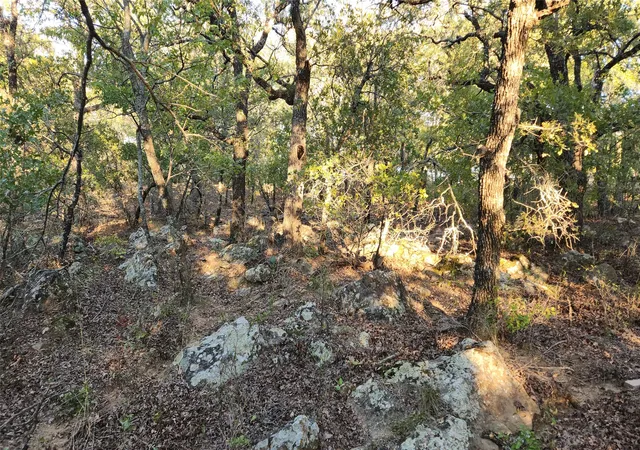 Photo 4 of Land for sale at 411 Mountain View Ct, Sunset, TX 76270 | MLS# 21353659 | Listing updated on 2026-09-17