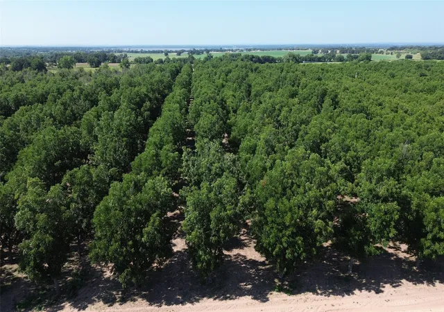 Photo 1 of Land for sale at 0000 Fm 1496, Dublin, TX 76446 | MLS# 21348858 | Listing updated on 2026-08-10