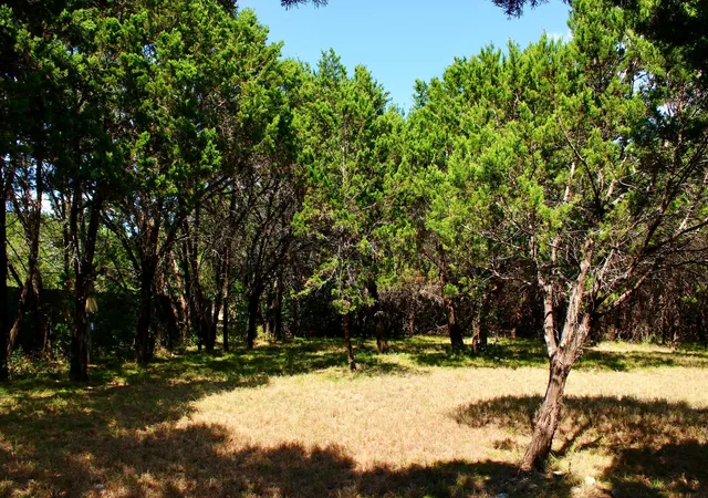 Photo 3 of Land for sale at 4902 Village Dr, Rio Vista, TX 76093 | MLS# 21355607 | Listing updated on 2026-08-11