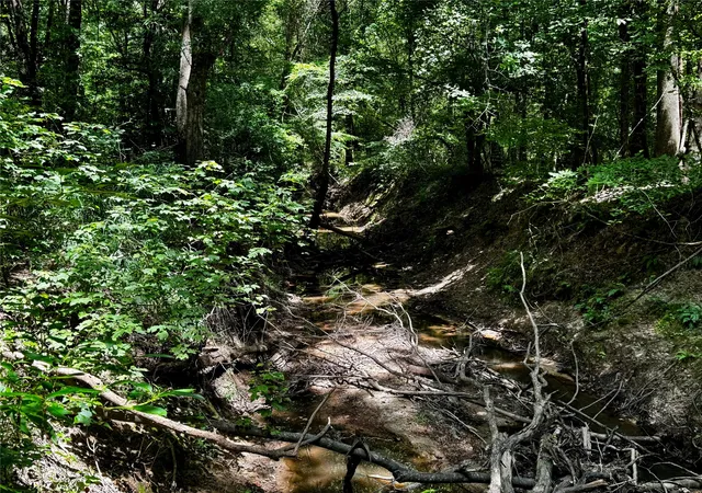 Photo 3 of Land for sale at Lot 1 County Road 1240, Pittsburg, TX 75686 | MLS# 21355664 | Listing updated on 2026-08-11