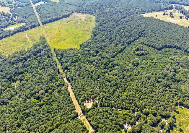 Photo 3 of Land for sale at Lot 1 County Road 1240, Pittsburg, TX 75686 | MLS# 21355664 | Listing updated on 2026-08-11