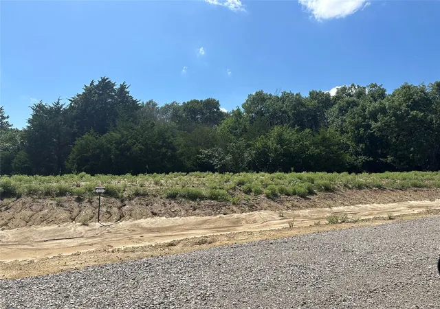 Photo 2 of Land for sale at Lot 11 County Road 1110, Farmersville, TX 75442 | MLS# 21355852 | Listing updated on 2026-08-10