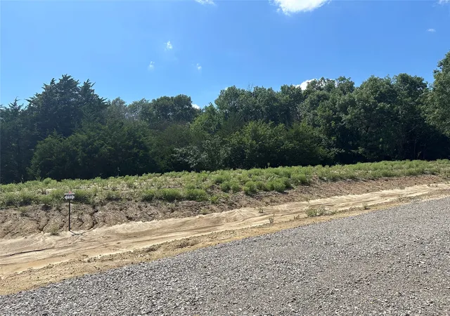 Photo 3 of Land for sale at Lot 11 County Road 1110, Farmersville, TX 75442 | MLS# 21355852 | Listing updated on 2026-08-10