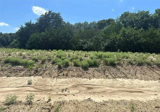 Photo 3 of Land for sale at Lot 11 County Road 1110, Farmersville, TX 75442 | MLS# 21355852 | Listing updated on 2026-08-10