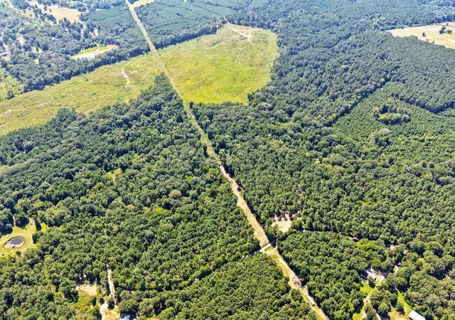 Photo 3 of Land for sale at Lot 2 County Road 1240, Pittsburg, TX 75686 | MLS# 21355730 | Listing updated on 2026-08-11