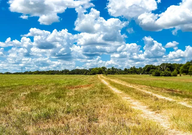 Photo 2 of Land for sale at 0000 Fcr 520, Fairfield, TX 75840 | MLS# 21356058 | Listing updated on 2026-08-11