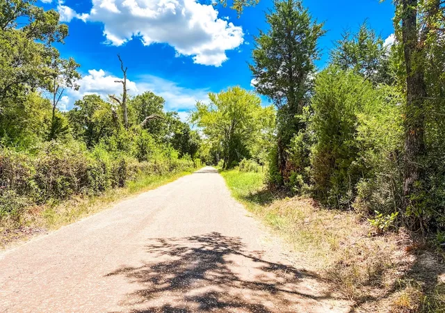 Photo 4 of Land for sale at 0000 Fcr 520, Fairfield, TX 75840 | MLS# 21356058 | Listing updated on 2026-08-11