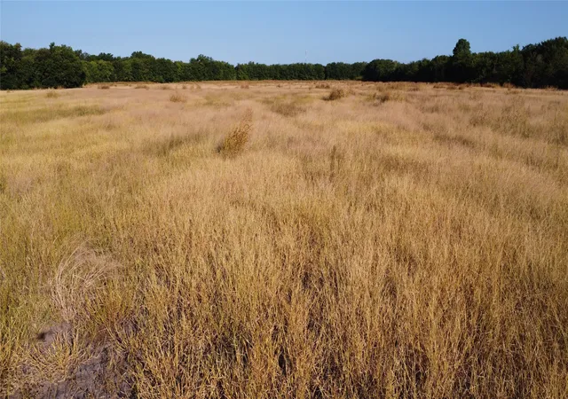 Photo 2 of Land for sale at 0000 Hwy 271, Deport, TX 75435 | MLS# 21356094 | Listing updated on 2026-08-11