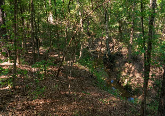Photo 29 of Land for sale at 0 County Road 3302, Brownsboro, TX 75756 | MLS# 21356189 | Listing updated on 2026-08-13