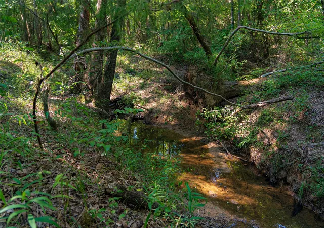 Photo 2 of Land for sale at 0 County Road 3302, Brownsboro, TX 75756 | MLS# 21356189 | Listing updated on 2026-08-13