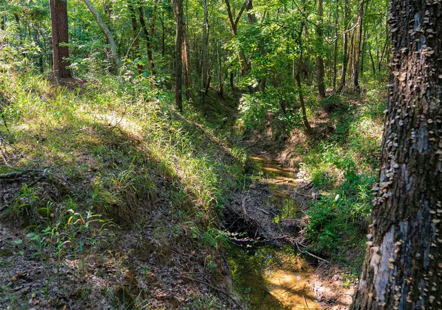 Photo 3 of Land for sale at 0 County Road 3302, Brownsboro, TX 75756 | MLS# 21356189 | Listing updated on 2026-08-13