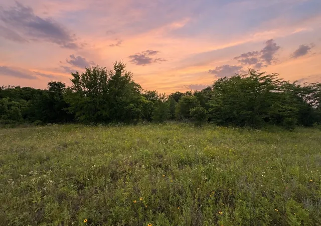 Land for sale at 316 County Road 458, De Leon, TX 76444 | MLS# 21356202