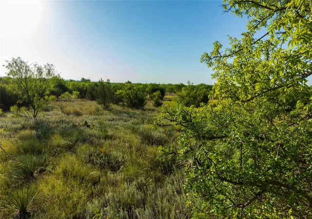 Photo 2 of Land for sale at Tbd Cr 250 Cr 250, Ovalo, TX 79541 | MLS# 21356611 | Listing updated on 2026-09-02