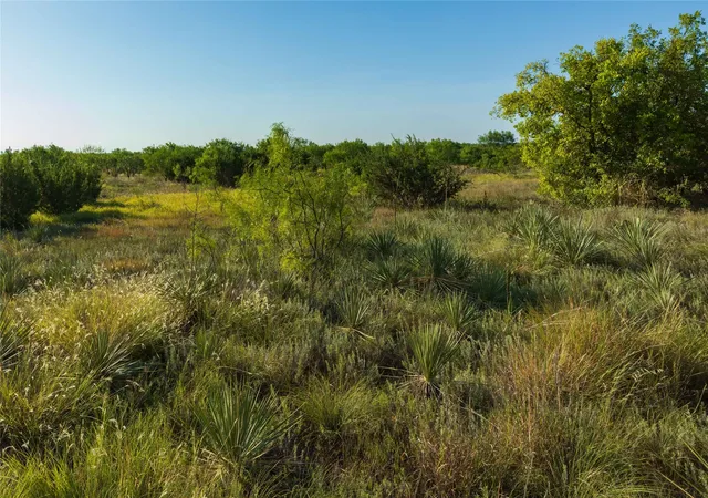 Photo 3 of Land for sale at Tbd Cr 250 Cr 250, Ovalo, TX 79541 | MLS# 21356611 | Listing updated on 2026-09-02