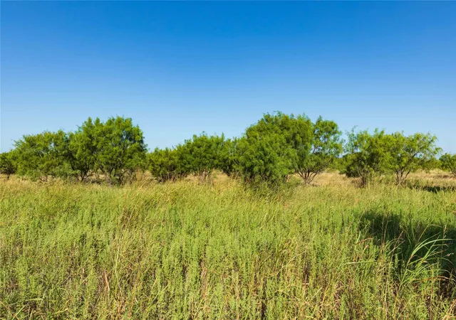 Photo 3 of Land for sale at Tbd Cr 250 Cr 250, Ovalo, TX 79541 | MLS# 21356611 | Listing updated on 2026-09-02