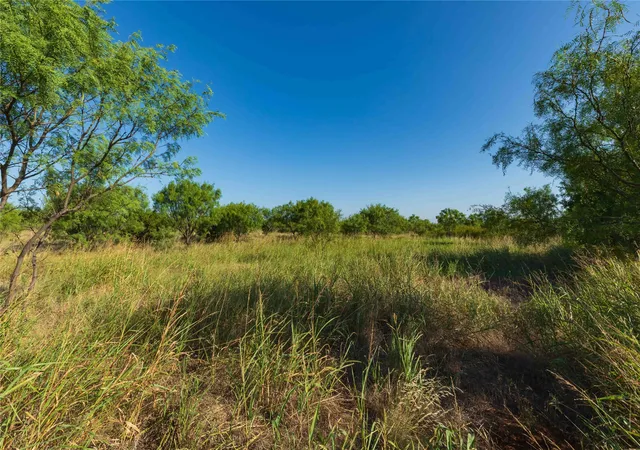 Photo 4 of Land for sale at Tbd Cr 250 Cr 250, Ovalo, TX 79541 | MLS# 21356611 | Listing updated on 2026-09-02