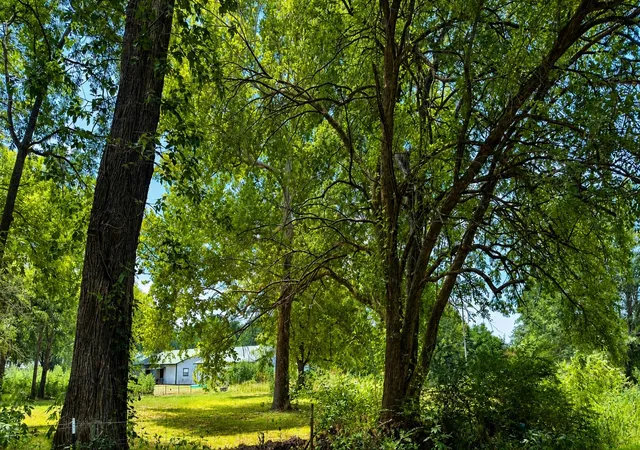 Land for sale at 230 Hickory St, Blossom, TX 75416 | MLS# 21356970