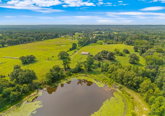 Photo 2 of Land for sale at 3349 E State Hwy 154, Quitman, TX 75783 | MLS# 21356912 | Listing updated on 2026-08-12