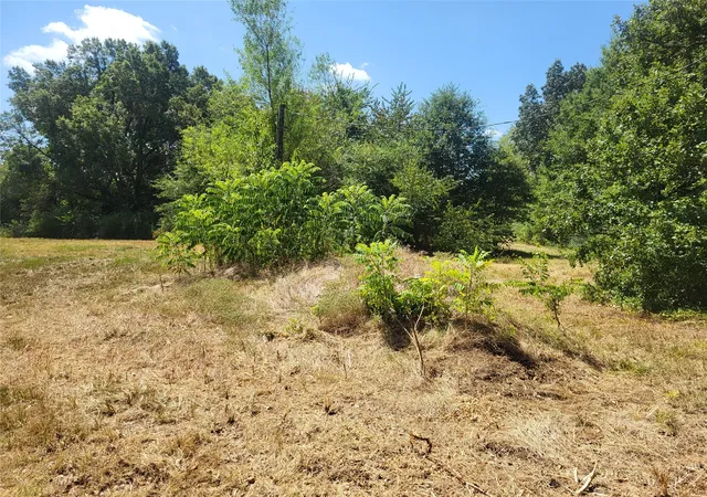 Photo 3 of Land for sale at 925 S Main, Detroit, TX 75436 | MLS# 21357069 | Listing updated on 2026-08-22
