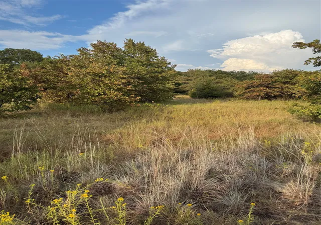 Photo 3 of Land for sale at Tbd New Hope Rd, Boyd, TX 76023 | MLS# 21357150 | Listing updated on 2026-08-27