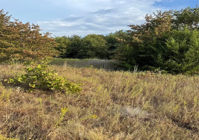 Photo 4 of Land for sale at Tbd New Hope Rd, Boyd, TX 76023 | MLS# 21357150 | Listing updated on 2026-08-27