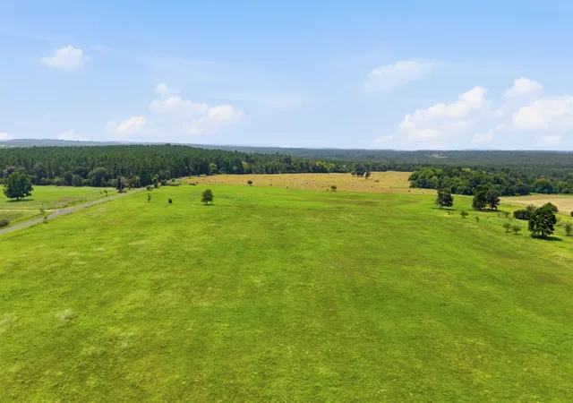 Photo 2 of Land for sale at Lot 1 Fm 1792, Big Sandy, TX 75755 | MLS# 21357276 | Listing updated on 2026-08-15