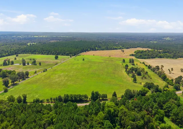 Photo 3 of Land for sale at Lot 4 C R 3689, Big Sandy, TX 75755 | MLS# 21357286 | Listing updated on 2026-08-15