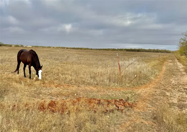 Photo 1 of Land for sale at Tbd Iberis Rd, Abilene, TX 79606 | MLS# 21357340 | Listing updated on 2026-08-12
