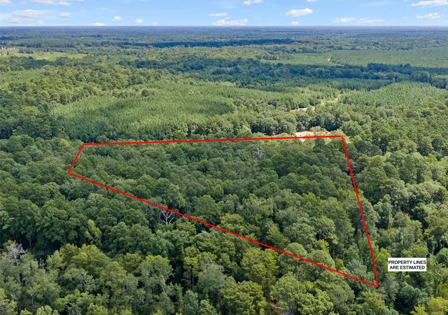 Photo 3 of Land for sale at 912 Hwy 191, Logansport, LA 71049 | MLS# 21357597 | Listing updated on 2026-08-12