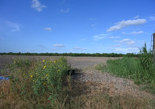 Photo 3 of Land for sale at Tbd-4 Bixby Rd, La Feria, TX 78570 | MLS# 21357628 | Listing updated on 2026-08-12