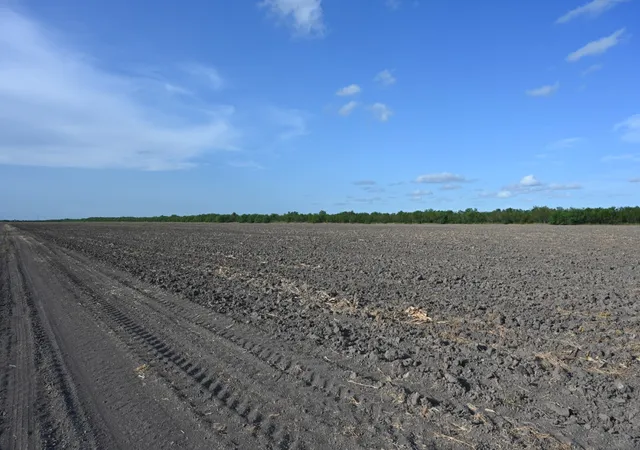 Photo 7 of Land for sale at Tbd 4 Bixby Rd, La Feria, TX 78570 | MLS# 21357628 | Listing updated on 2026-08-12