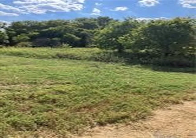 Photo 1 of Land for sale at 3202 S Central Ave, Troy, TX 76579 | MLS# 21357573 | Listing updated on 2026-08-12