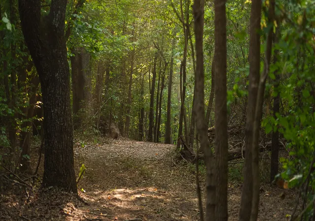 Land for sale at Tbd Cr 246 S, Tyler, TX 75705 | MLS# 21337277
